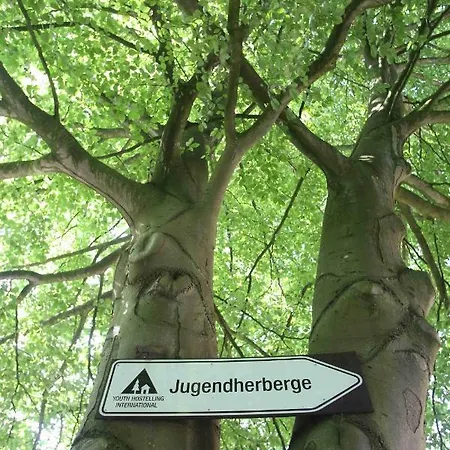 - Membership Required