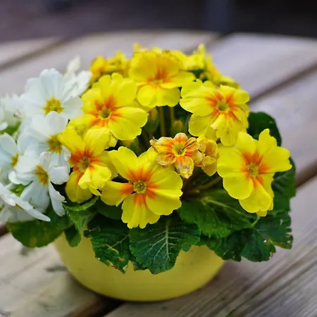 호스텔 - Membership Required 플렌스부르크