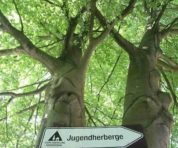 - Membership Required